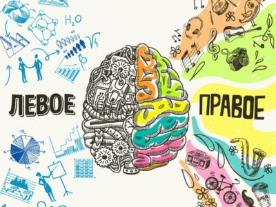 Какое полушарие вашего мозга доминирует?