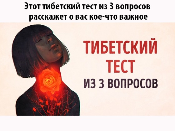 256