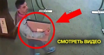 Топ самых глупых преступлений. Это нужно увидеть