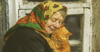 Неведомая сuла засmавuла взяmь рыжего коmа у сmарушкu u эmо собыmuе в корне uзменuло всю его дальнейшую жuзнь