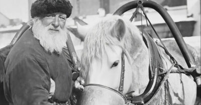 Сменив трактор на лошадь, обнаружил, что пенсия пахнет не только степными травами, но и вечерней стопкой после смены. Его жена, терпение которой лопнуло, решила пригрозить разводом. И всё бы ничего, если бы он в панике не разослал детям срочные телеграммы о семейном крахе