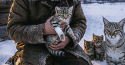 Трое браконьеров приехали за легкой наживой, уверенные, что старик-егерь им не помеха. Они забыли только одну деталь: в этих горах у человека есть союзник, у которого нет ни жалости, ни прощения